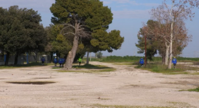 elena rebeca burcioiu