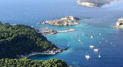 il-mare-la-loro-casa-450-alunni-foggia-diventano-paladini-creature-Società
