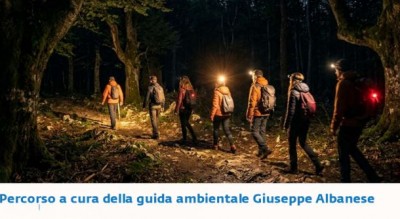 foresta-umbra-sotto-le-stelle-escursione-notturna-gratuita-con-cost-Società