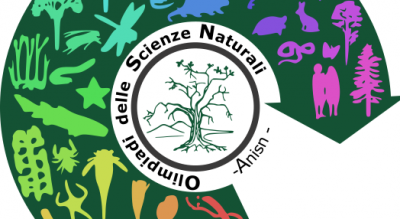 Giochi Scienze Sperimentali