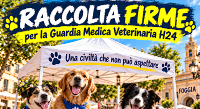 guardia-medica-veterinaria-h24--a-foggia-due-giorni-di-raccolta-firme-Società