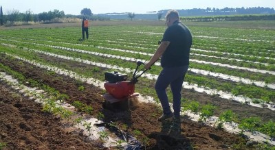 serra-2-0-bene-confiscato-mafia-terra-aut-progetto-sociale-Società
