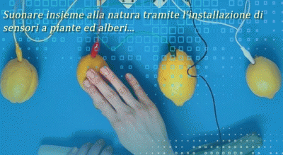 a-foggia-si-suona-con-la-natura-wwf-biomascherata-sonora-Società