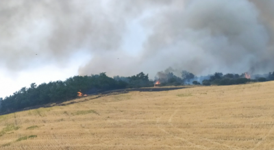 incendi-boschivi-arrestato-un-piromane-a-serracapriola-Società