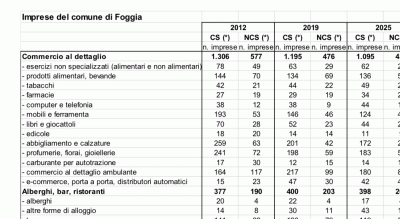 commercio-citta-dal-2012-meno-156mila-negozi-analisi-confcommercio-Società