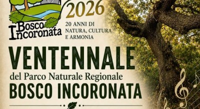 concerti-tra-le-querce-monumentali-il-bosco-incoronata-in-festa-Società