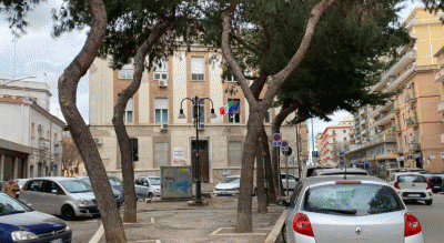piazza-pavoncelli-wwf-attacca-comune-foggia-taglio-alberi-Cronaca