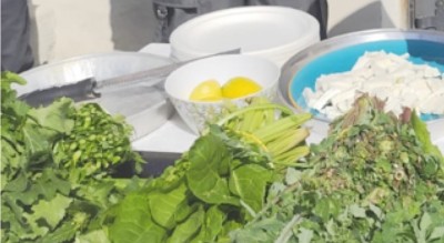 dall-intelligenza-alimentare-ai-nuovi-trend-della-ricerca-a-foggia-Società