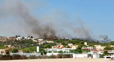 VIESTE INCENDIO