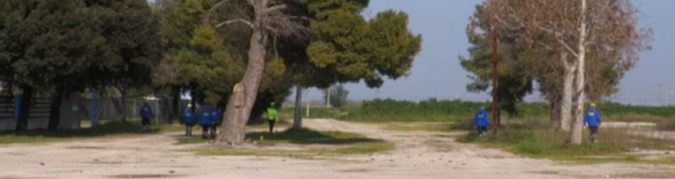 ..elena rebeca burcioiu