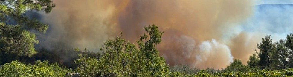 ..vico incendio maddalena