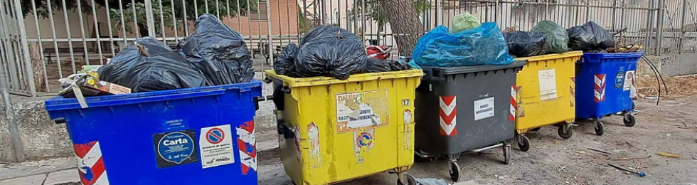 ..cassonetti foggia palmisano