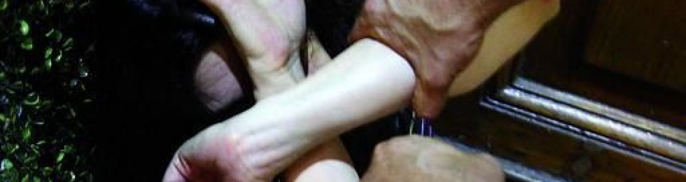VIOLENZA SESSUALE