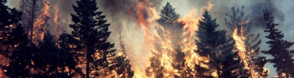 incendio bosco