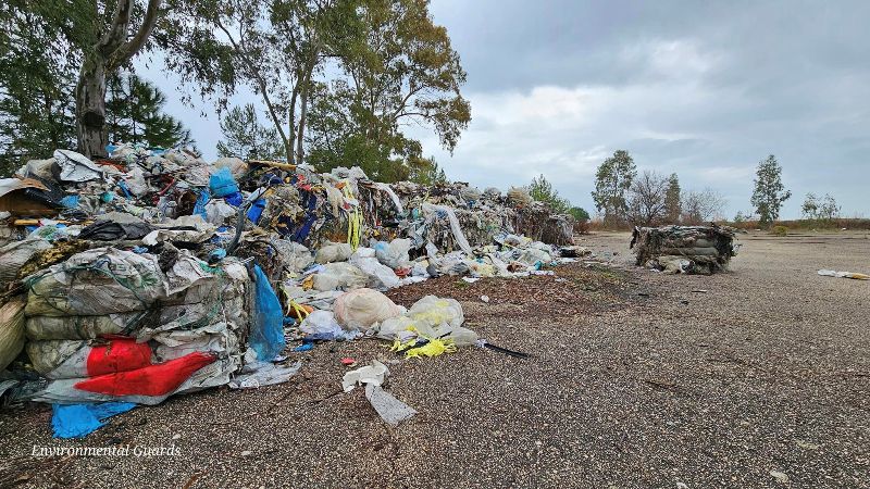 Manfredonia 1000 quintali rifiuti sversati Sciale Zingari Rondinelle