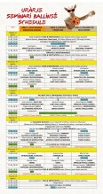 ballinsè 2022 programma
